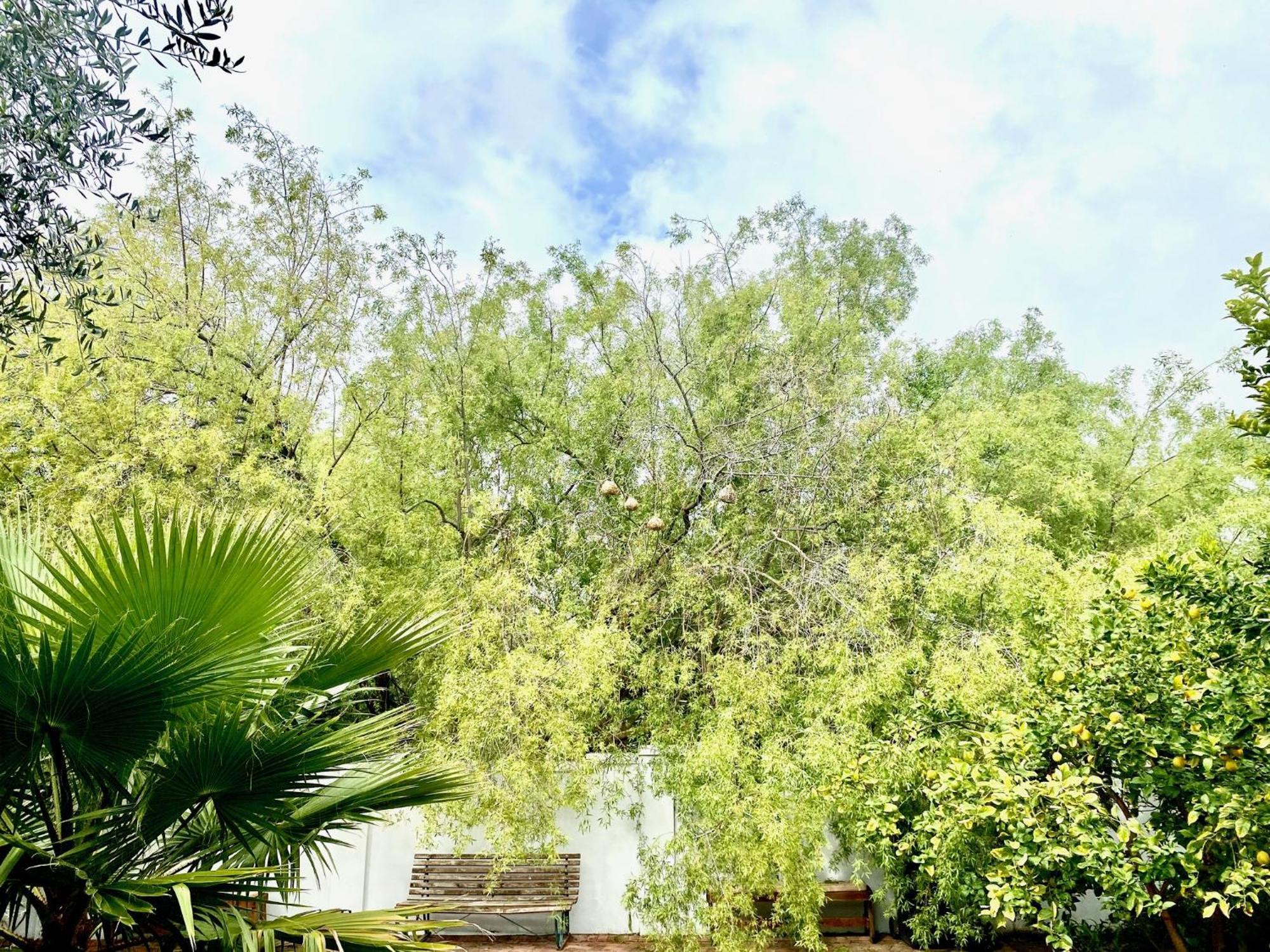 1 Royal Street Guesthouse Riebeek-Kasteel Extérieur photo