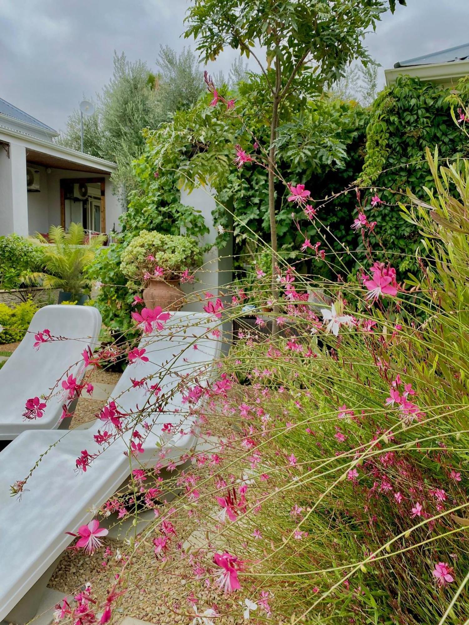 1 Royal Street Guesthouse Riebeek-Kasteel Extérieur photo
