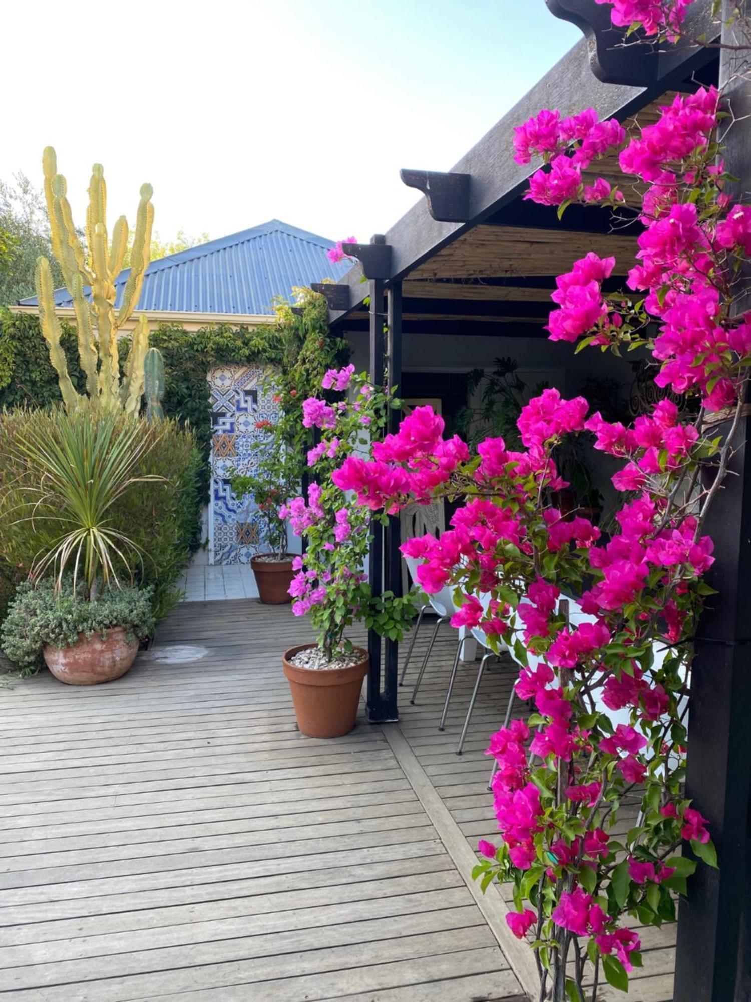 1 Royal Street Guesthouse Riebeek-Kasteel Extérieur photo