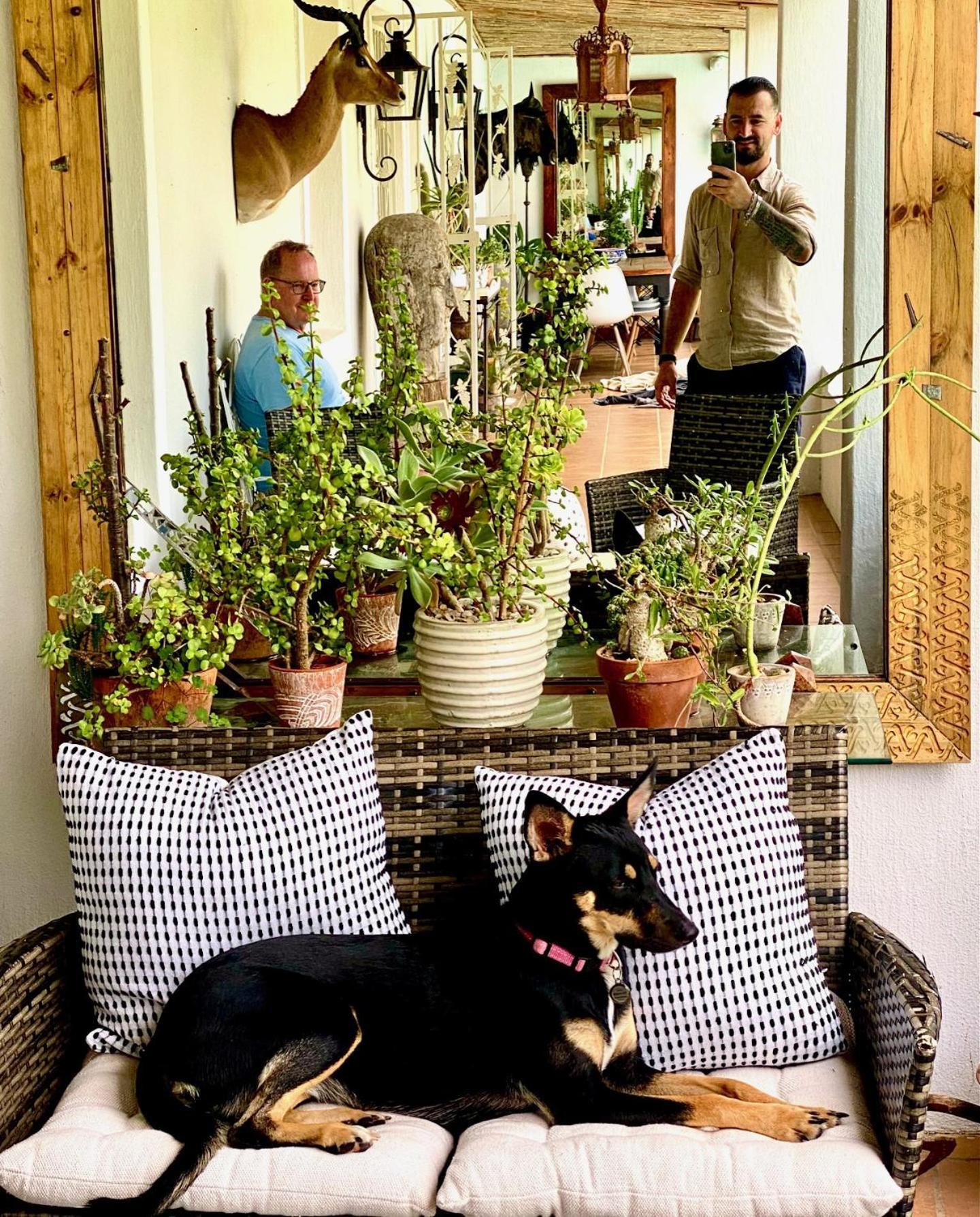 1 Royal Street Guesthouse Riebeek-Kasteel Extérieur photo